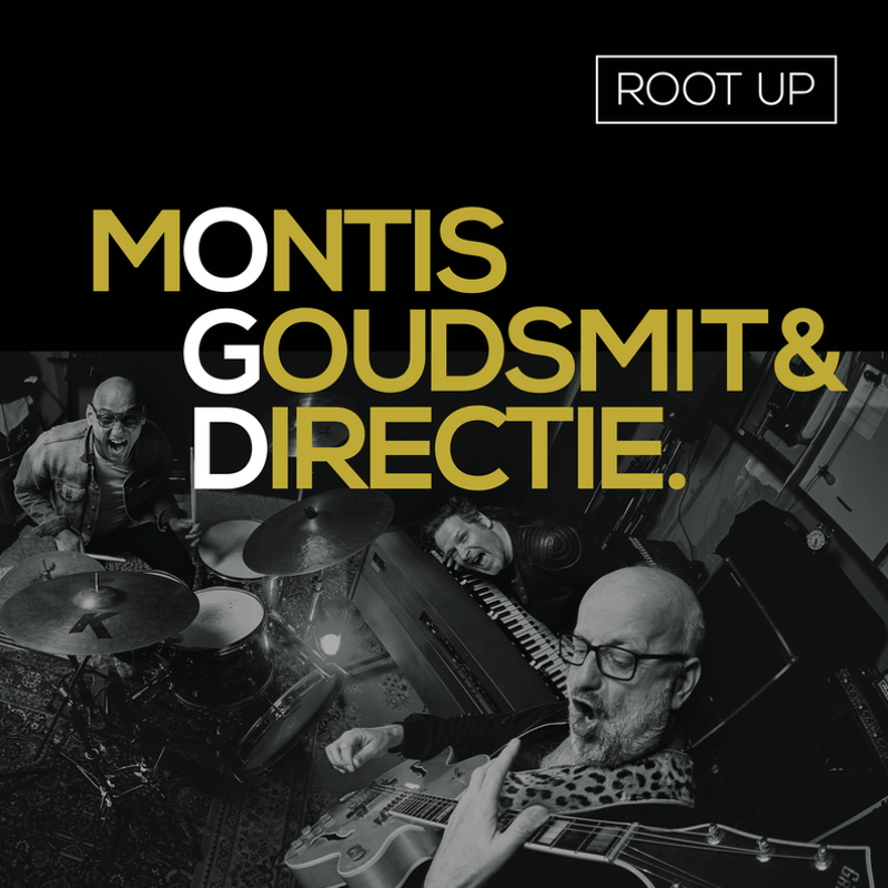 Root Up: het tweede album van Montis, Goudsmit & Directie